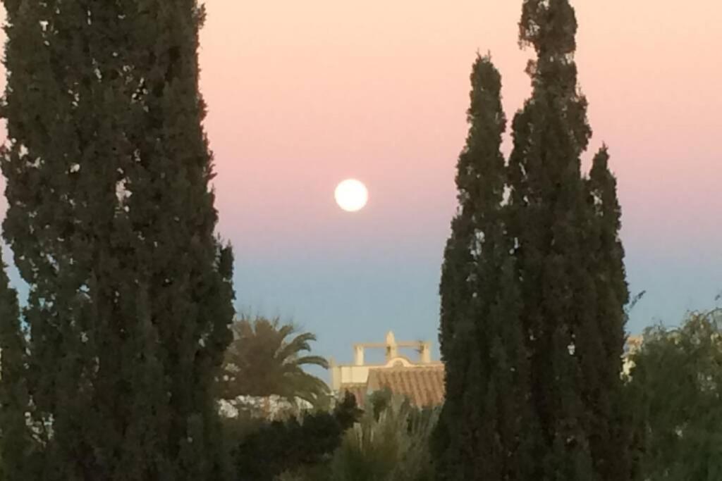 Privates Ferienhaus Villa De Paz - Costa Blanca Оріуела Екстер'єр фото